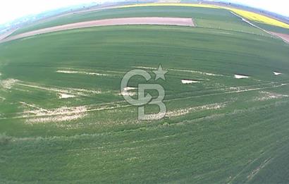 Tekirdağ Kapaklı 15.507m²-Müstakil Tapu Yatırımlık Fırsat Tarla