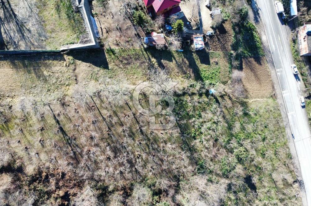 KİREÇHANE MAHALLESİNDE SATILIK ARSA