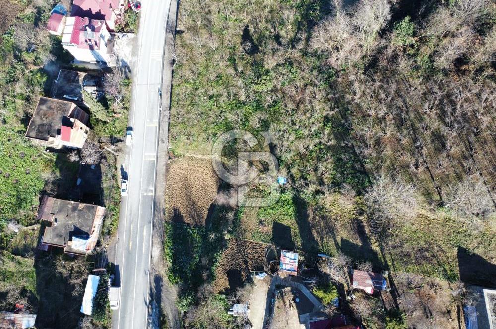 KİREÇHANE MAHALLESİNDE SATILIK ARSA