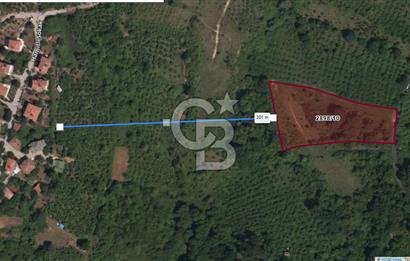 CB'DAN ŞİLE ŞUAYPLİ MÜSTAKİL, FIRSAT, YOLA CEPHE, VİLLALARA 200M2 MESAFEDE