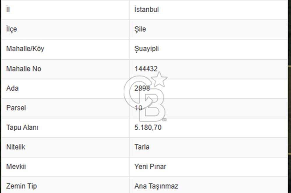 CB'DAN ŞİLE ŞUAYPLİ MÜSTAKİL, FIRSAT, YOLA CEPHE, VİLLALARA 200M2 MESAFEDE