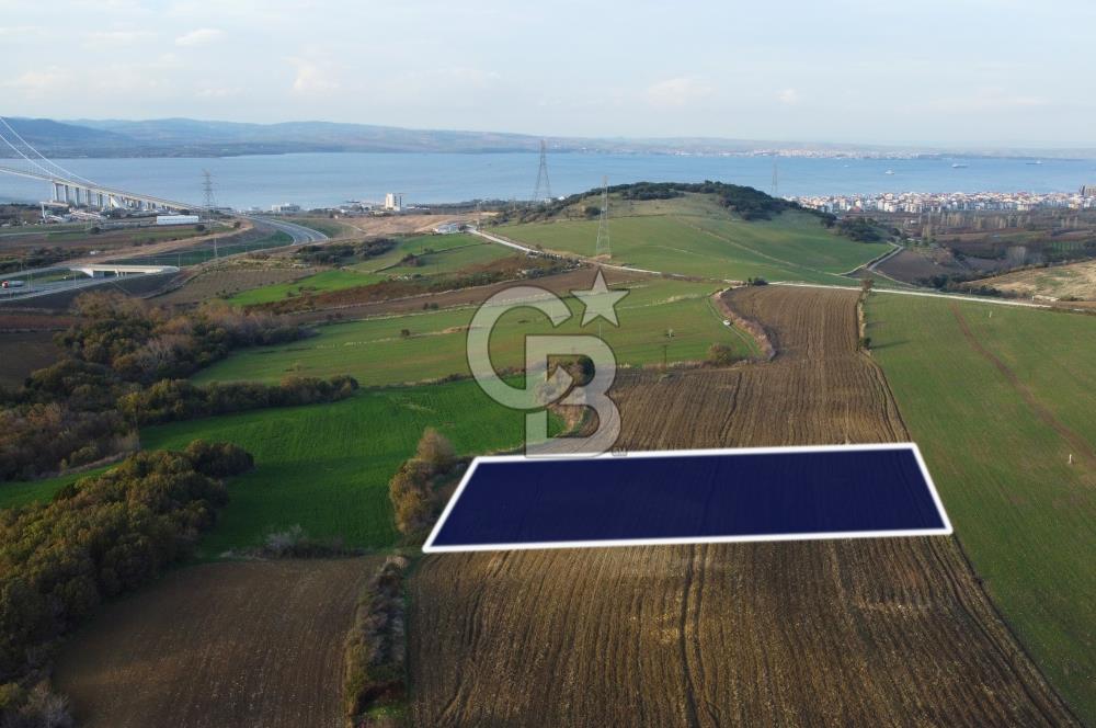 Çanakkale Lapseki Gsp Resmi Yol ve Boğaz Manzaralı 5042m² Tarla