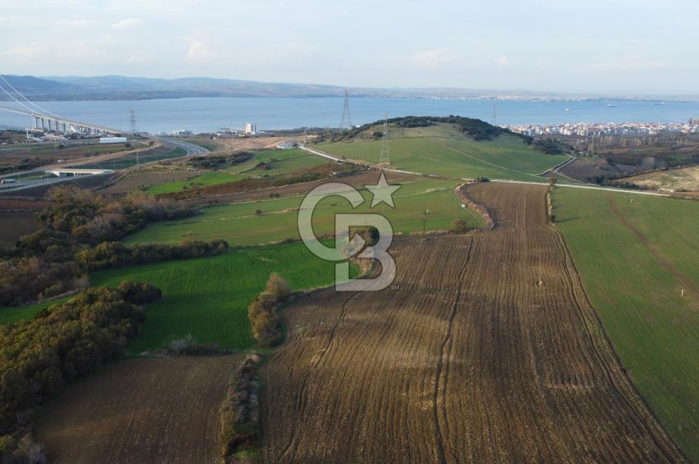 Çanakkale Lapseki Gsp Resmi Yol ve Boğaz Manzaralı 5042m² Tarla