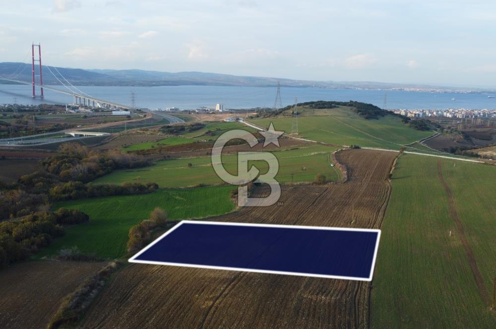 Çanakkale Lapseki Gsp Resmi Yol ve Boğaz Manzaralı 5042m² Tarla