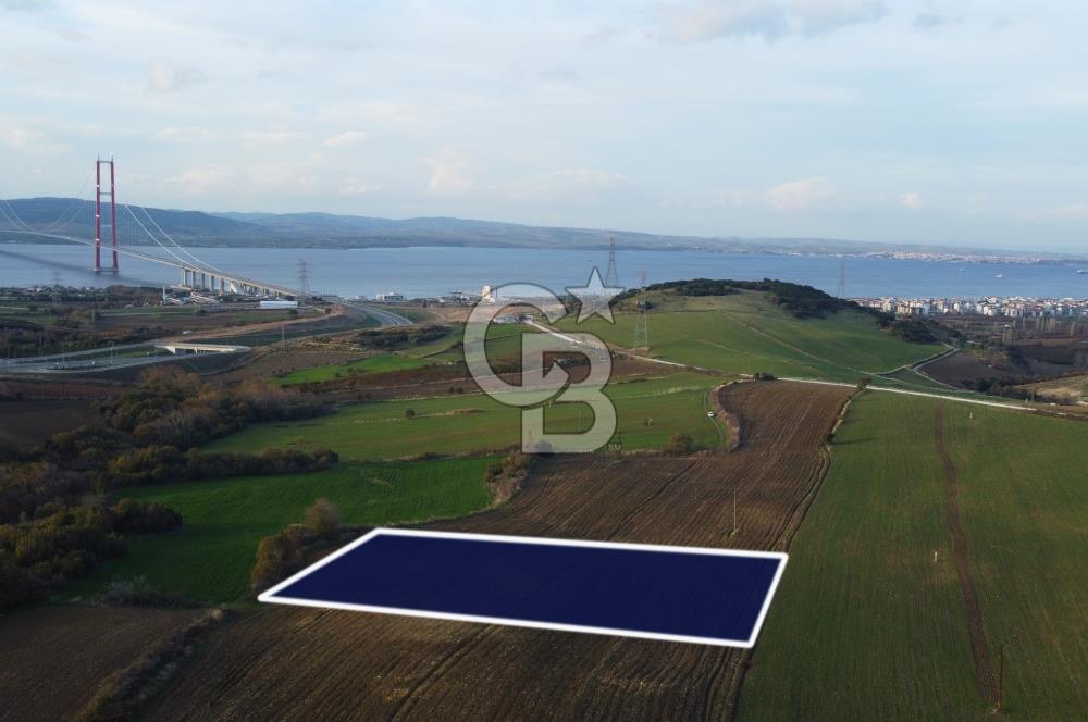 Çanakkale Lapseki Gsp Resmi Yol ve Boğaz Manzaralı 5042m² Tarla