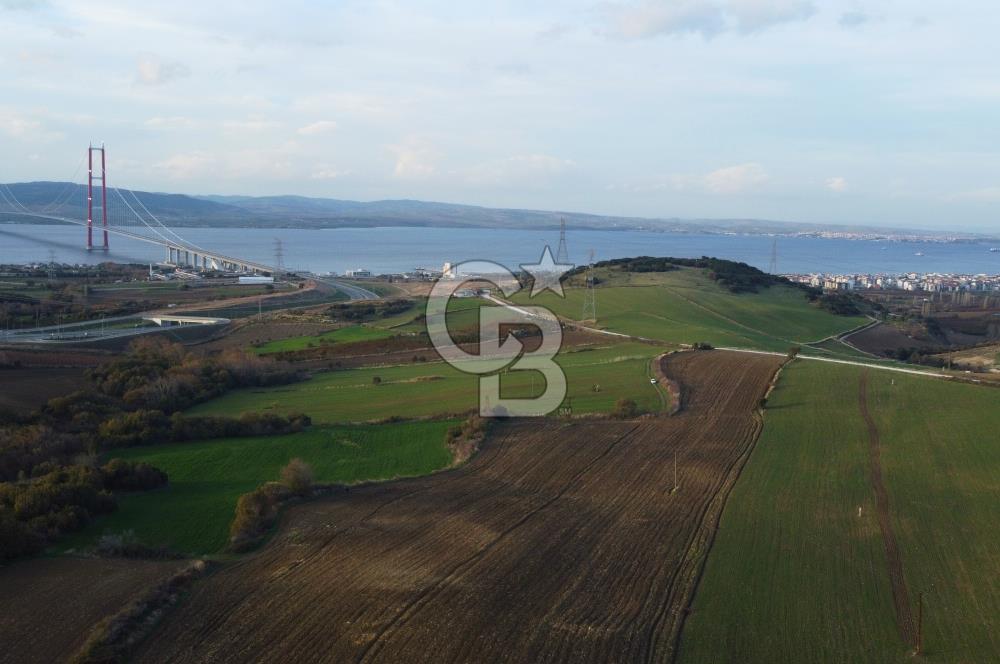 Çanakkale Lapseki Gsp Resmi Yol ve Boğaz Manzaralı 5042m² Tarla