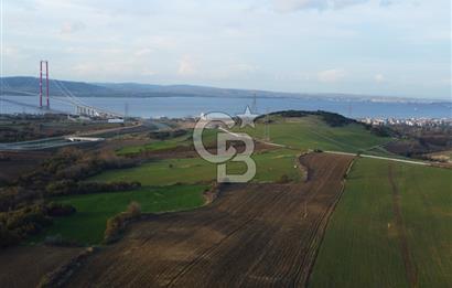 Çanakkale Lapseki Gsp Resmi Yol ve Boğaz Manzaralı 5042m² Tarla