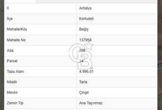 KORKUTELİ BEGİS'TE SATILIK TARLA - 5 - 318428