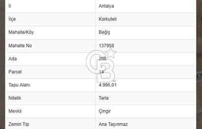 KORKUTELİ BEGİS'TE SATILIK TARLA