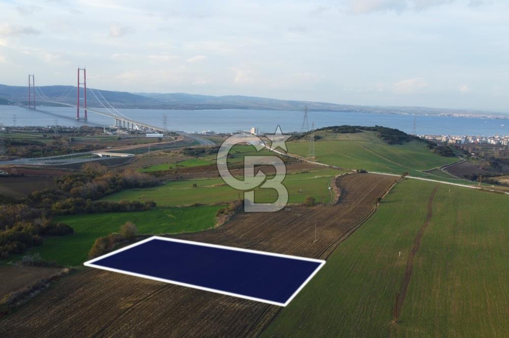 Çanakkale Lapseki Gsp Resmi Yol ve Boğaz Manzaralı 5042m² Tarla