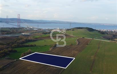 Çanakkale Lapseki Gsp Resmi Yol ve Boğaz Manzaralı 5042m² Tarla