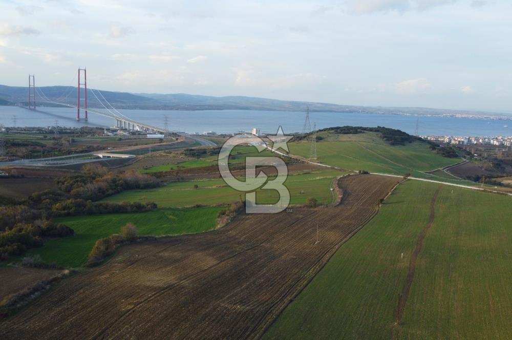Çanakkale Lapseki Gsp Resmi Yol ve Boğaz Manzaralı 5042m² Tarla