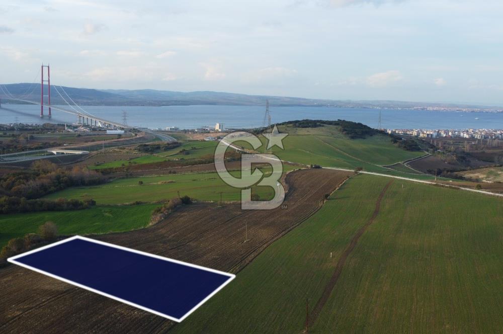 Çanakkale Lapseki Gsp Resmi Yol ve Boğaz Manzaralı 5042m² Tarla