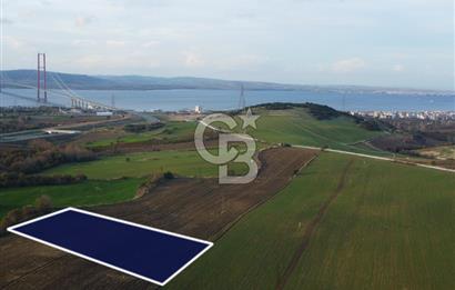 Çanakkale Lapseki Gsp Resmi Yol ve Boğaz Manzaralı 5042m² Tarla