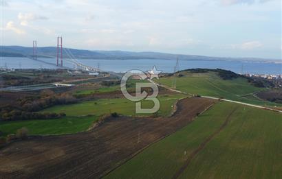 Çanakkale Lapseki Gsp Resmi Yol ve Boğaz Manzaralı 5042m² Tarla