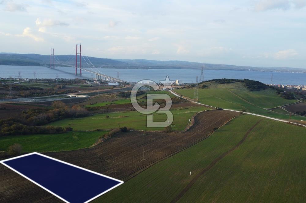 Çanakkale Lapseki Gsp Resmi Yol ve Boğaz Manzaralı 5042m² Tarla