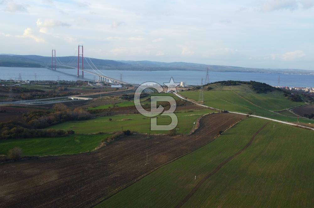 Çanakkale Lapseki Gsp Resmi Yol ve Boğaz Manzaralı 5042m² Tarla