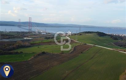 Çanakkale Lapseki Gsp Resmi Yol ve Boğaz Manzaralı 5042m² Tarla