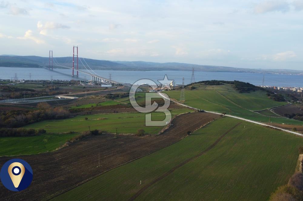 Çanakkale Lapseki Gsp Resmi Yol ve Boğaz Manzaralı 5042m² Tarla