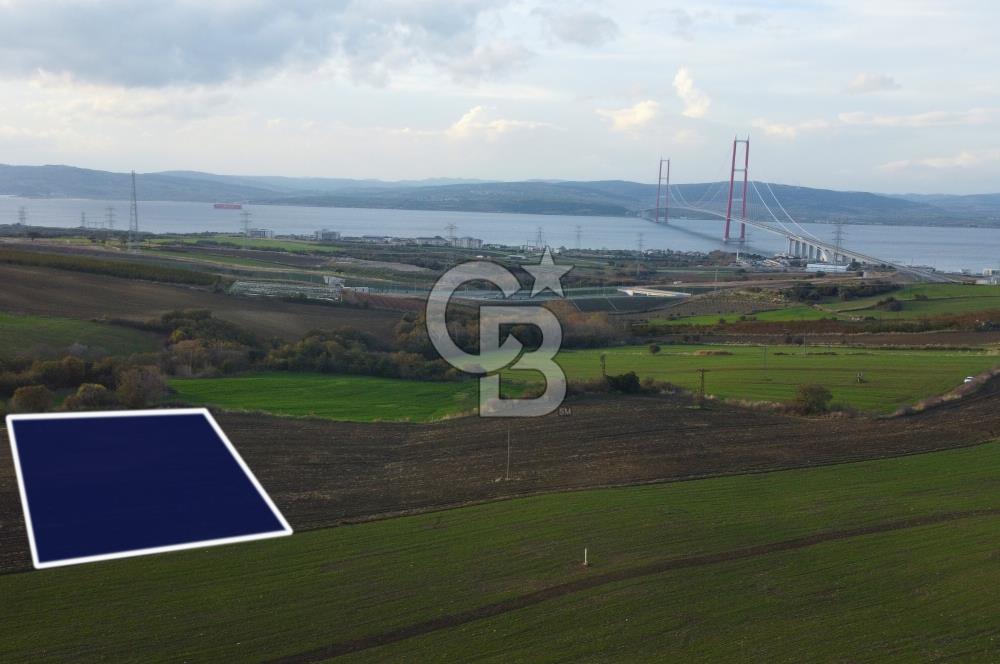 Çanakkale Lapseki Gsp Resmi Yol ve Boğaz Manzaralı 5042m² Tarla