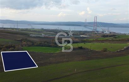 Çanakkale Lapseki Gsp Resmi Yol ve Boğaz Manzaralı 5042m² Tarla