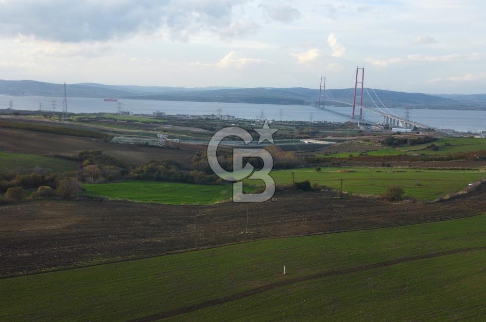 Çanakkale Lapseki Gsp Resmi Yol ve Boğaz Manzaralı 5042m² Tarla
