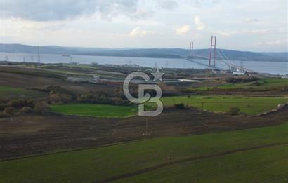 Çanakkale Lapseki Gsp Resmi Yol ve Boğaz Manzaralı 5042m² Tarla