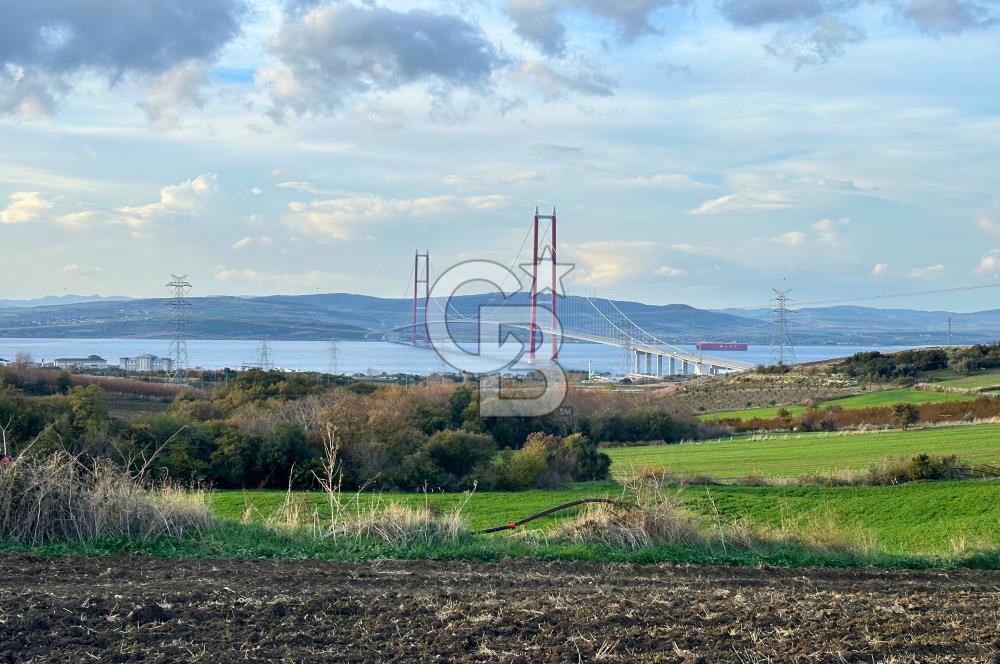 Çanakkale Lapseki Gsp Resmi Yol ve Boğaz Manzaralı 5042m² Tarla