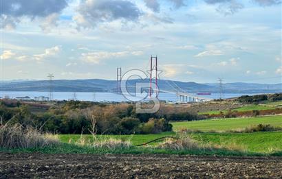 Çanakkale Lapseki Gsp Resmi Yol ve Boğaz Manzaralı 5042m² Tarla