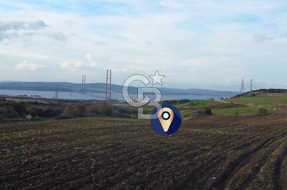 Çanakkale Lapseki Gsp Resmi Yol ve Boğaz Manzaralı 5042m² Tarla