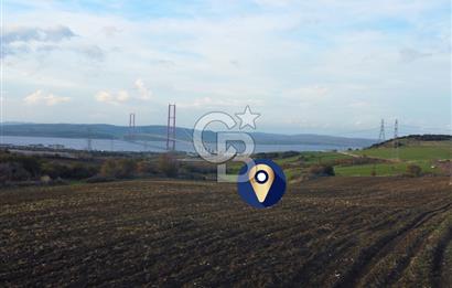 Çanakkale Lapseki Gsp Resmi Yol ve Boğaz Manzaralı 5042m² Tarla