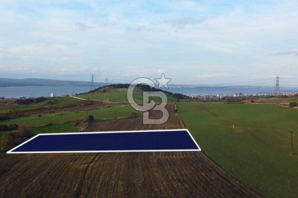 Çanakkale Lapseki Gsp Resmi Yol ve Boğaz Manzaralı 5042m² Tarla