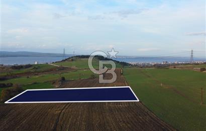 Çanakkale Lapseki Gsp Resmi Yol ve Boğaz Manzaralı 5042m² Tarla