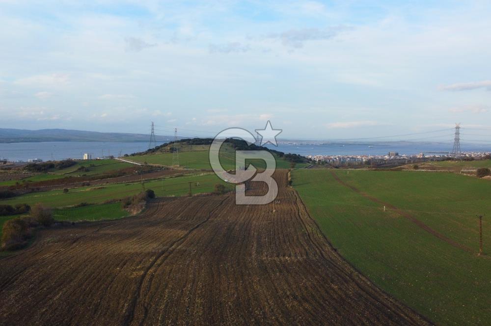 Çanakkale Lapseki Gsp Resmi Yol ve Boğaz Manzaralı 5042m² Tarla