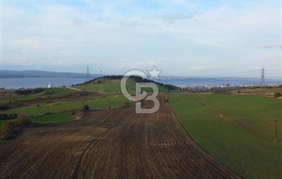 Çanakkale Lapseki Gsp Resmi Yol ve Boğaz Manzaralı 5042m² Tarla