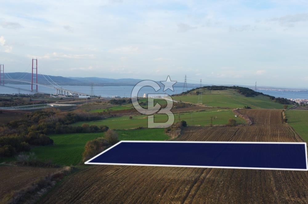 Çanakkale Lapseki Gsp Resmi Yol ve Boğaz Manzaralı 5042m² Tarla