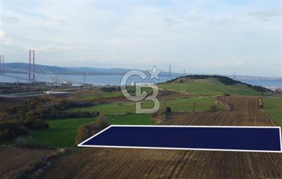 Çanakkale Lapseki Gsp Resmi Yol ve Boğaz Manzaralı 5042m² Tarla