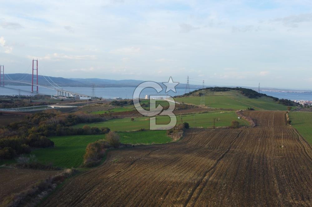 Çanakkale Lapseki Gsp Resmi Yol ve Boğaz Manzaralı 5042m² Tarla