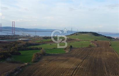 Çanakkale Lapseki Gsp Resmi Yol ve Boğaz Manzaralı 5042m² Tarla