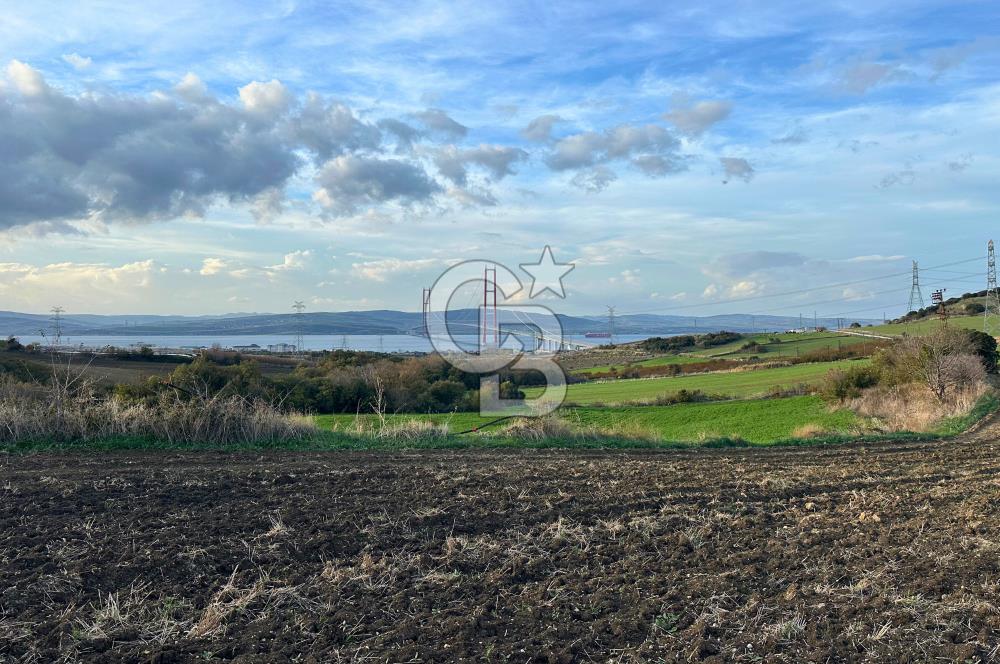 Çanakkale Lapseki Gsp Resmi Yol ve Boğaz Manzaralı 5042m² Tarla