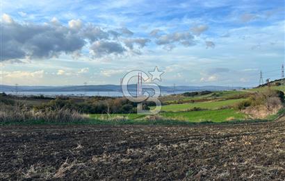 Çanakkale Lapseki Gsp Resmi Yol ve Boğaz Manzaralı 5042m² Tarla