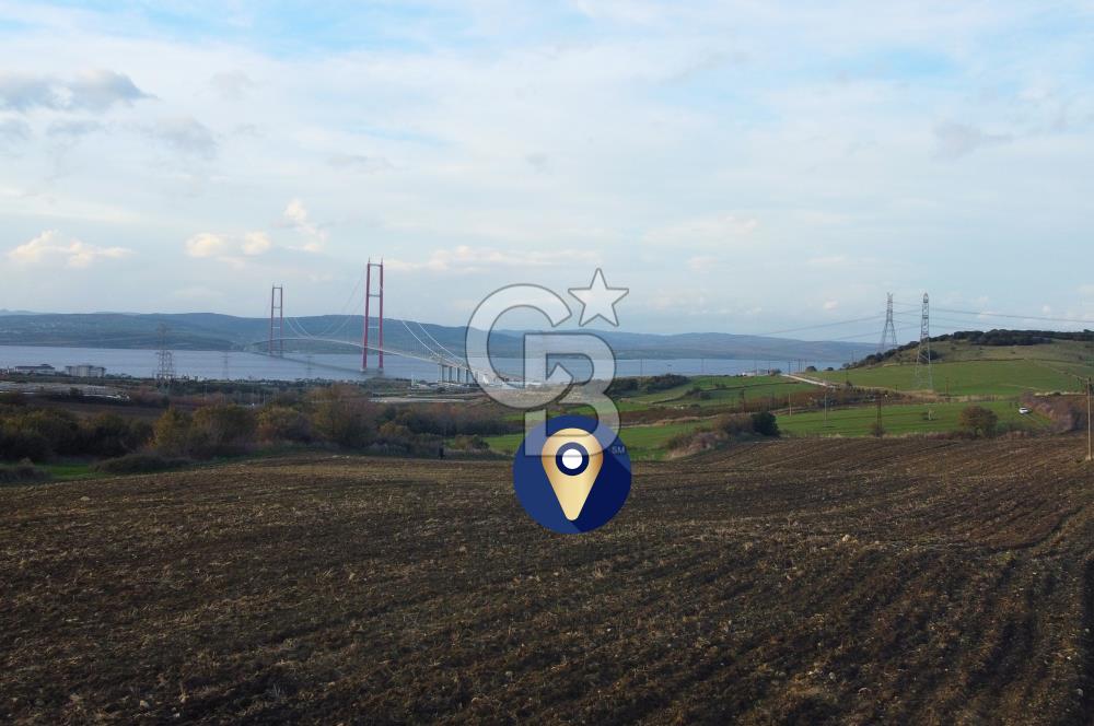 Çanakkale Lapseki Gsp Resmi Yol ve Boğaz Manzaralı 5042m² Tarla
