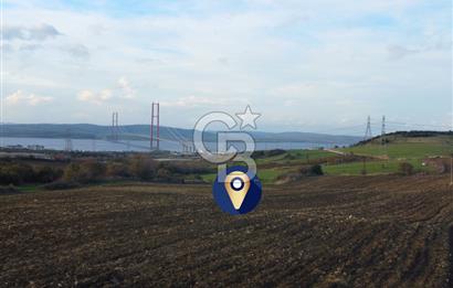 Çanakkale Lapseki Gsp Resmi Yol ve Boğaz Manzaralı 5042m² Tarla
