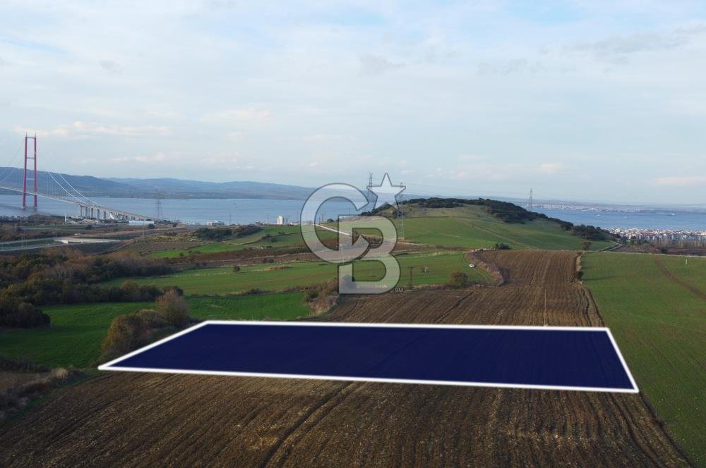 Çanakkale Lapseki Gsp Resmi Yol ve Boğaz Manzaralı 5042m² Tarla