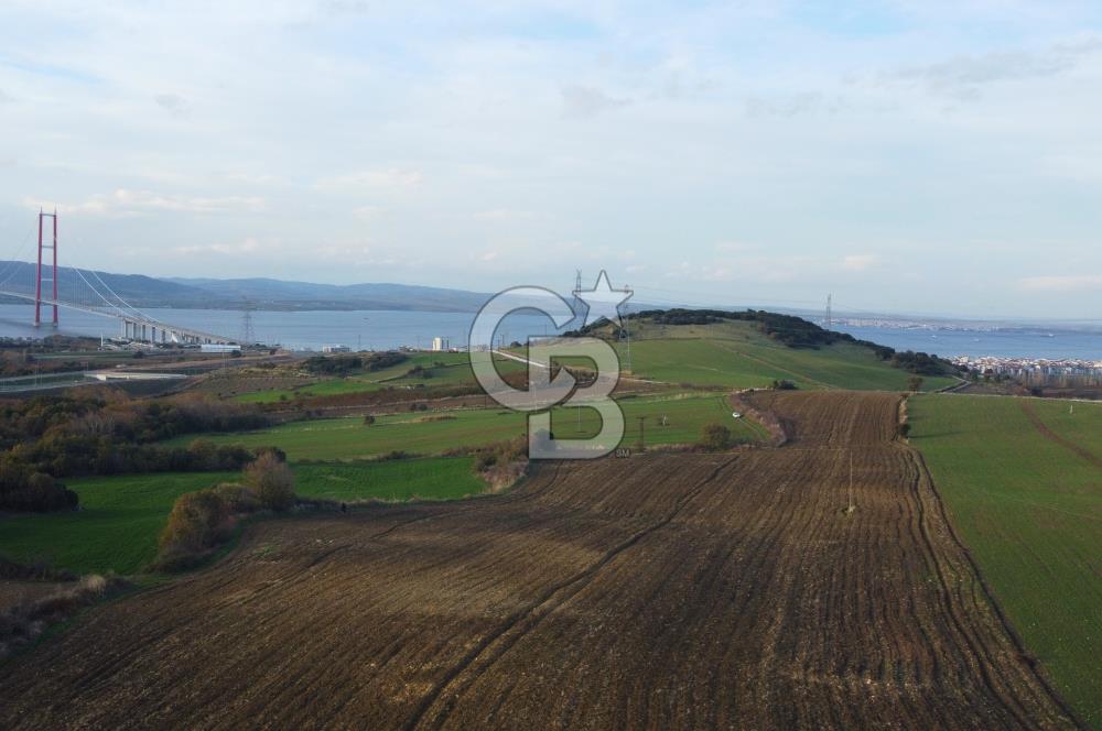 Çanakkale Lapseki Gsp Resmi Yol ve Boğaz Manzaralı 5042m² Tarla