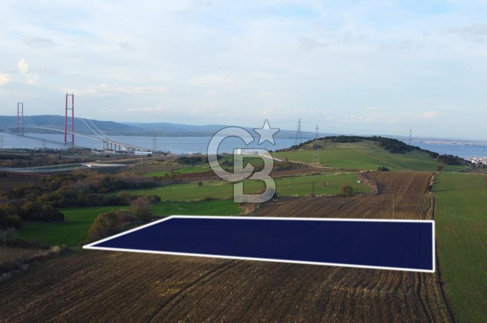 Çanakkale Lapseki Gsp Resmi Yol ve Boğaz Manzaralı 5042m² Tarla
