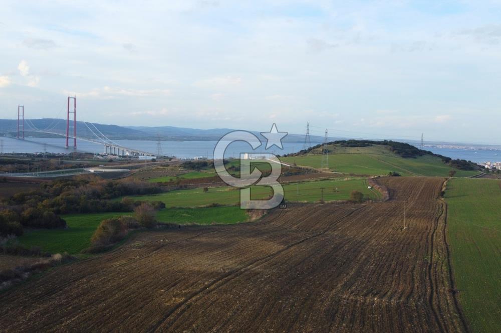 Çanakkale Lapseki Gsp Resmi Yol ve Boğaz Manzaralı 5042m² Tarla
