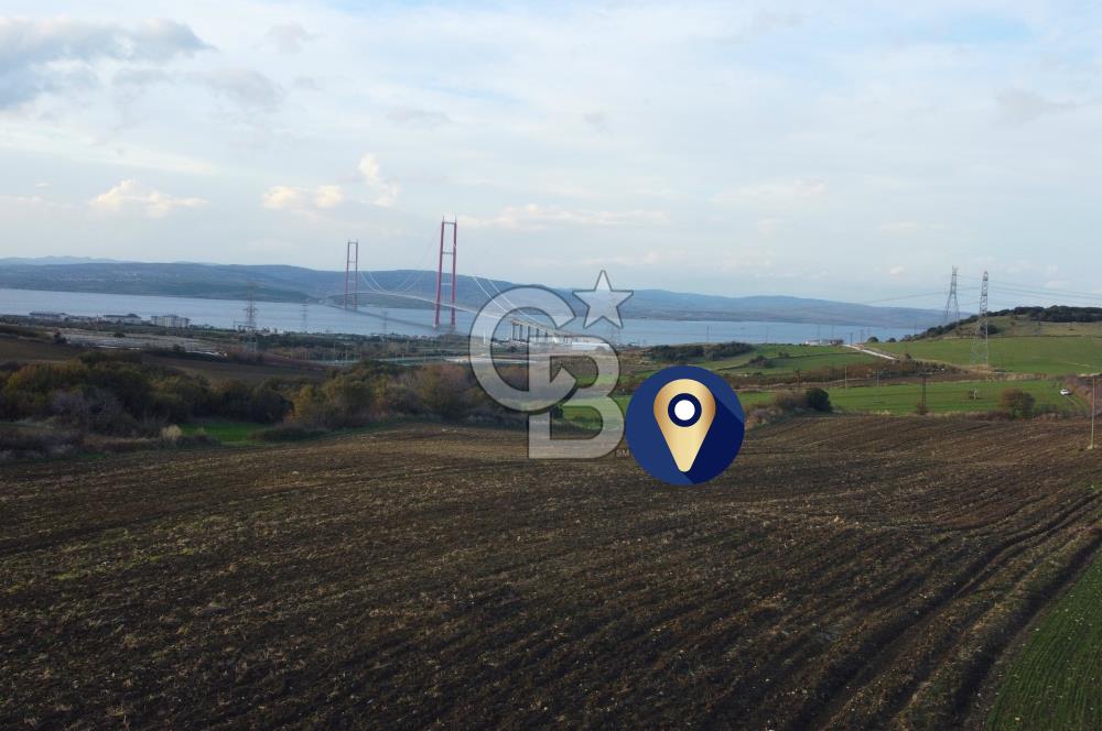 Çanakkale Lapseki Gsp Resmi Yol ve Boğaz Manzaralı 5042m² Tarla