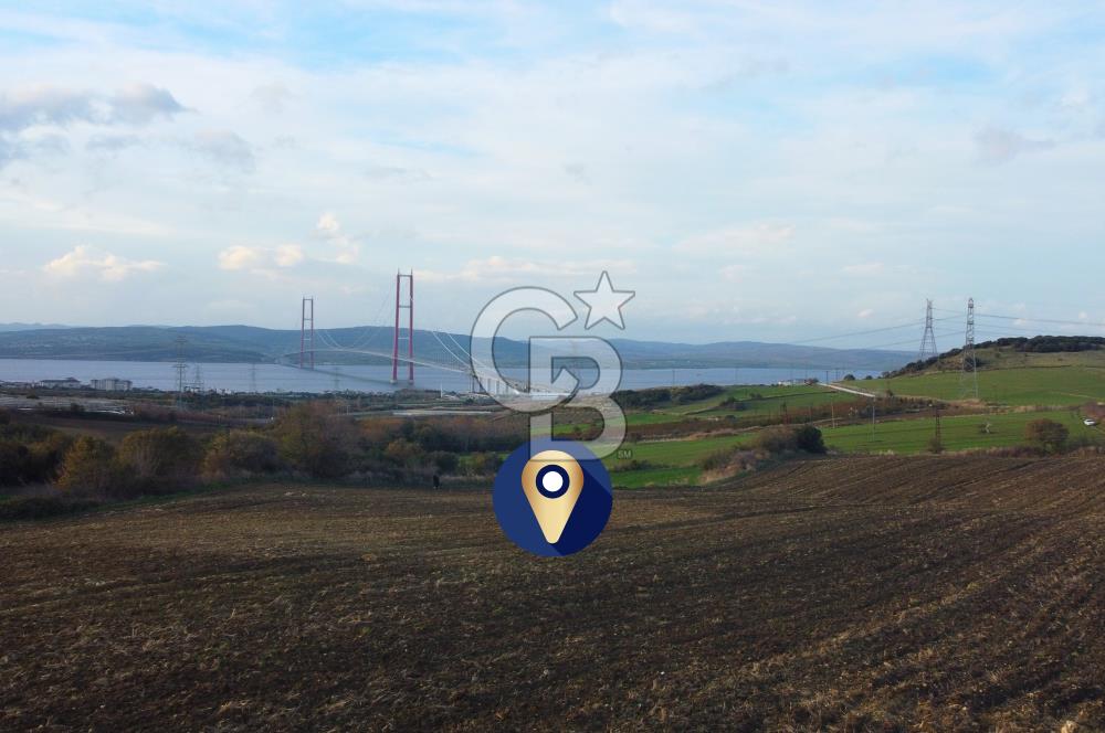 Çanakkale Lapseki Gsp Resmi Yol ve Boğaz Manzaralı 5042m² Tarla