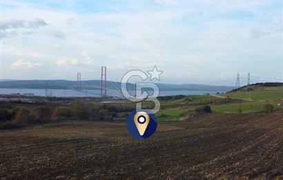 Çanakkale Lapseki Gsp Resmi Yol ve Boğaz Manzaralı 5042m² Tarla